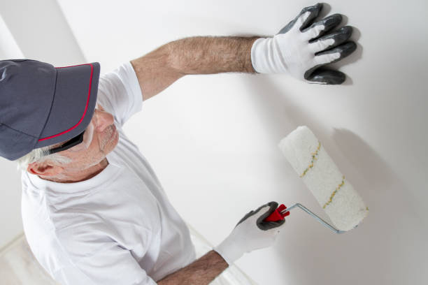 Best Post-Construction Mold Inspection  in Wauwatosa, WI