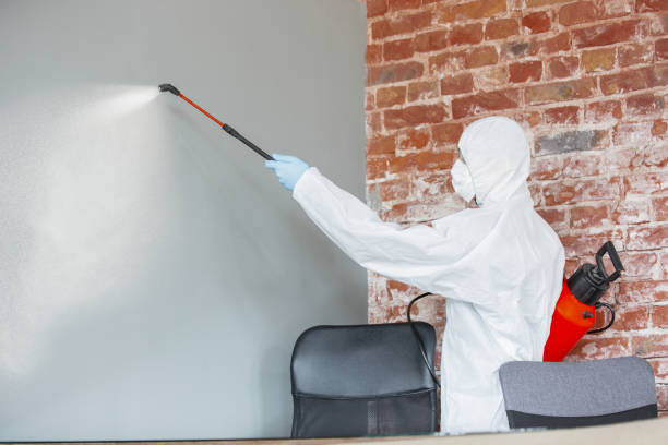 Best Mold Odor Removal Services  in Wauwatosa, WI